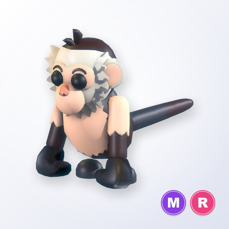 Capuchin Monkey MR | Adopt Me