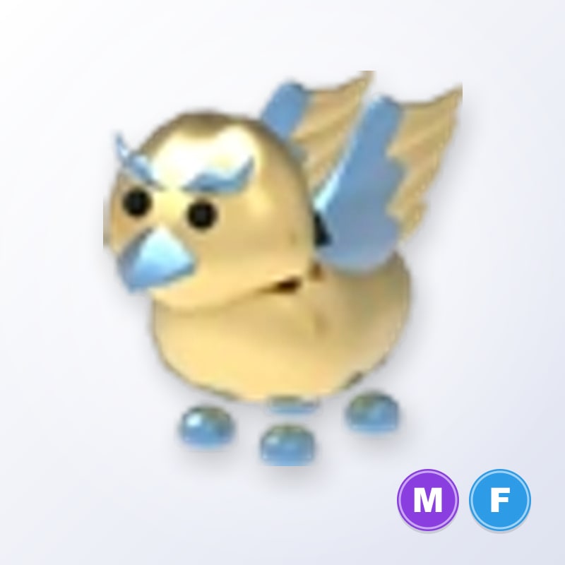 Golden Griffin MF | Adopt Me