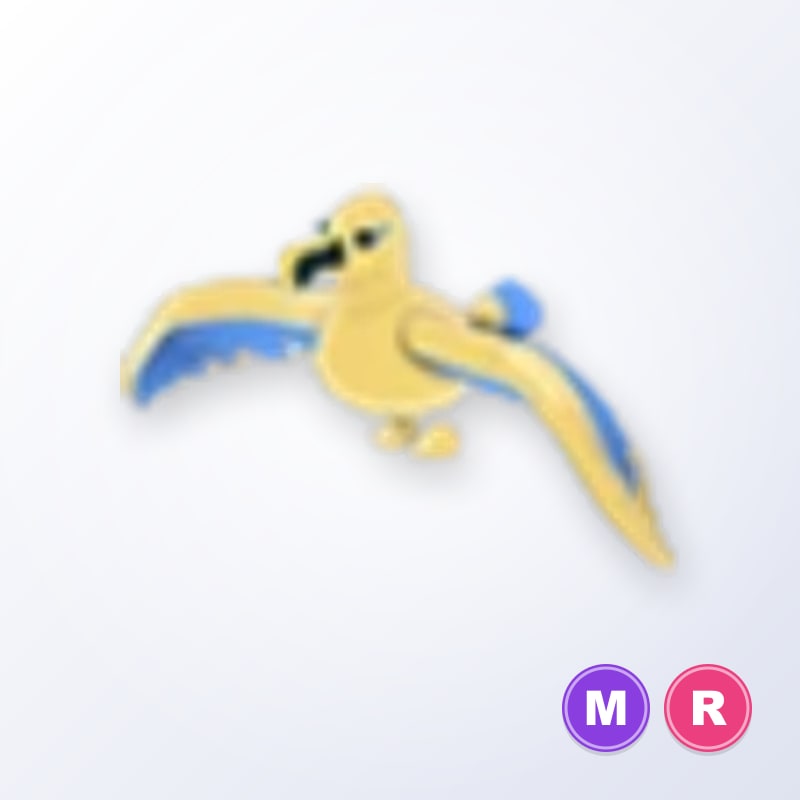Golden Albatross MR | Adopt Me