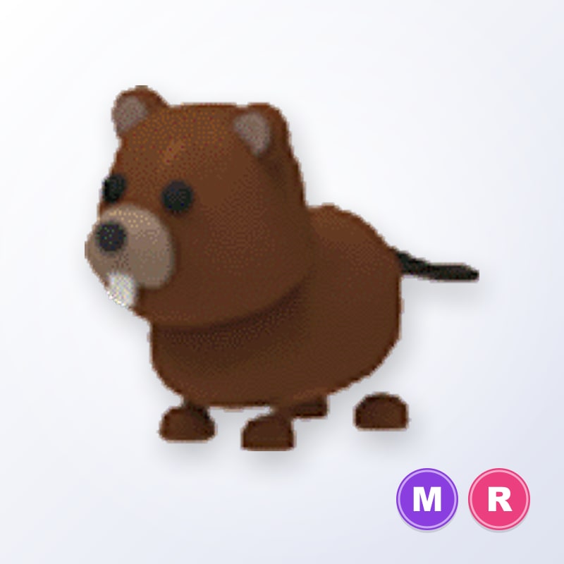 Beaver MR | Adopt Me