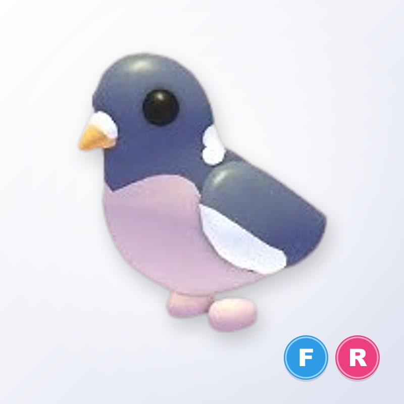 Wood Pigeon FR | Adopt Me