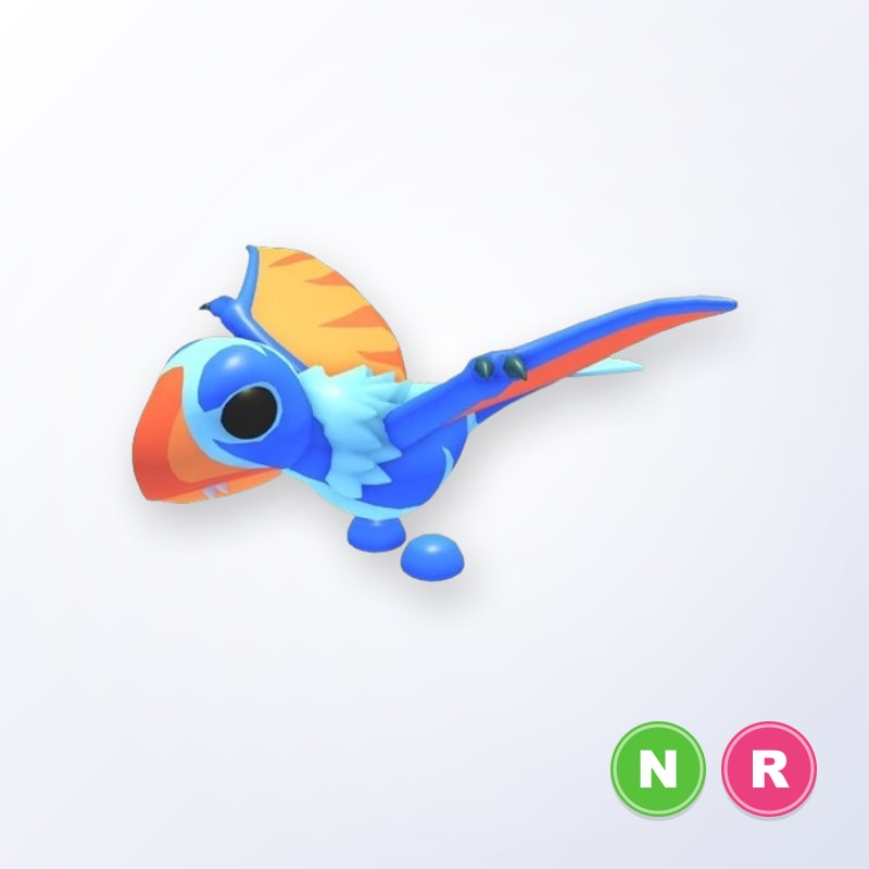 Dimorphodon NR | Adopt Me