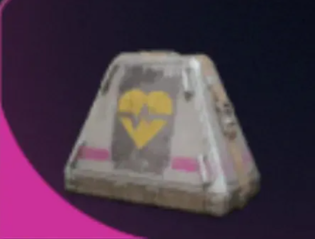 20 Survivor
