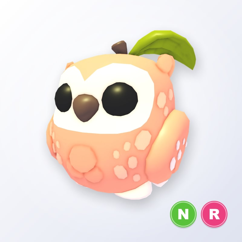 Peach Owl NR | Adopt Me