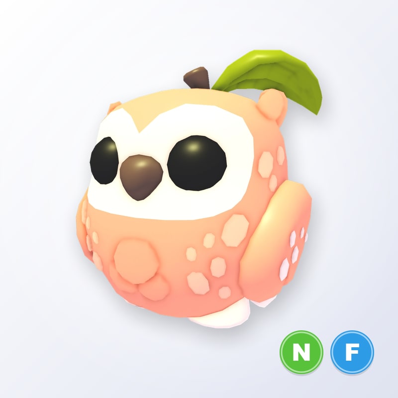 Peach Owl NF | Adopt Me