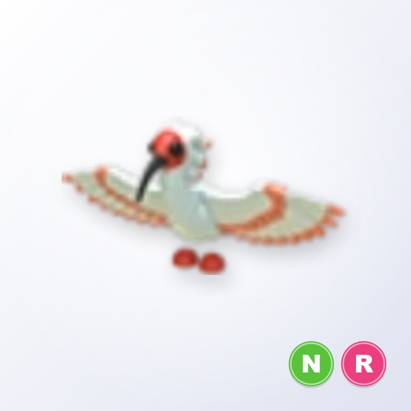 Ibis NR | Adopt Me