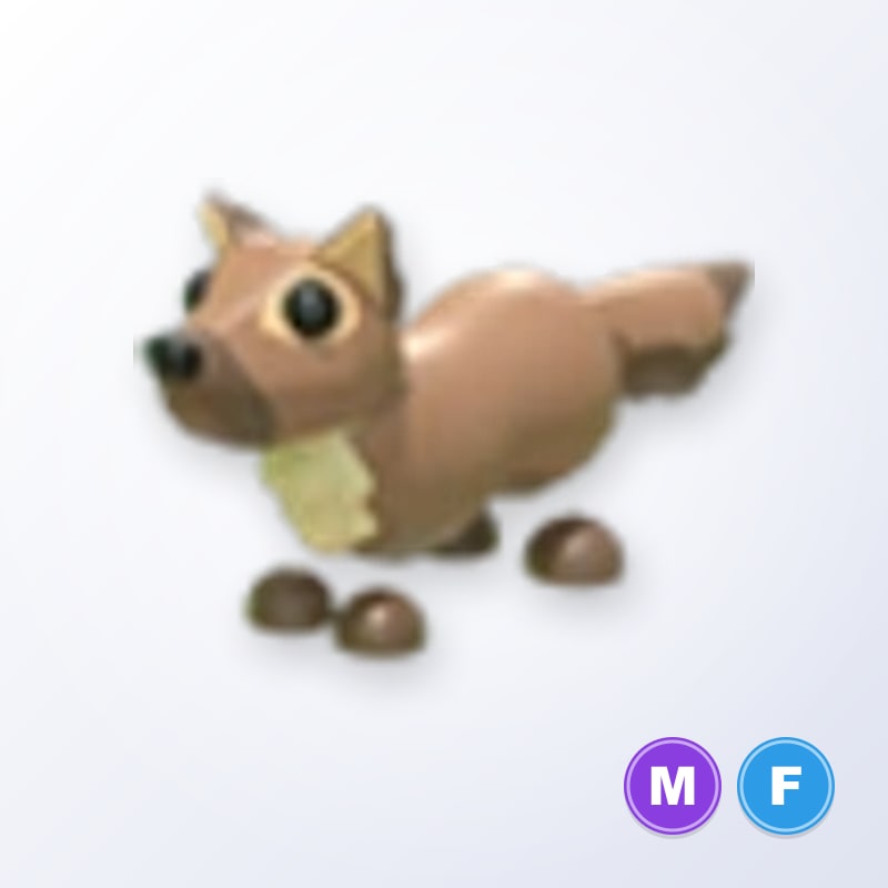 Pine Marten MF | Adopt Me