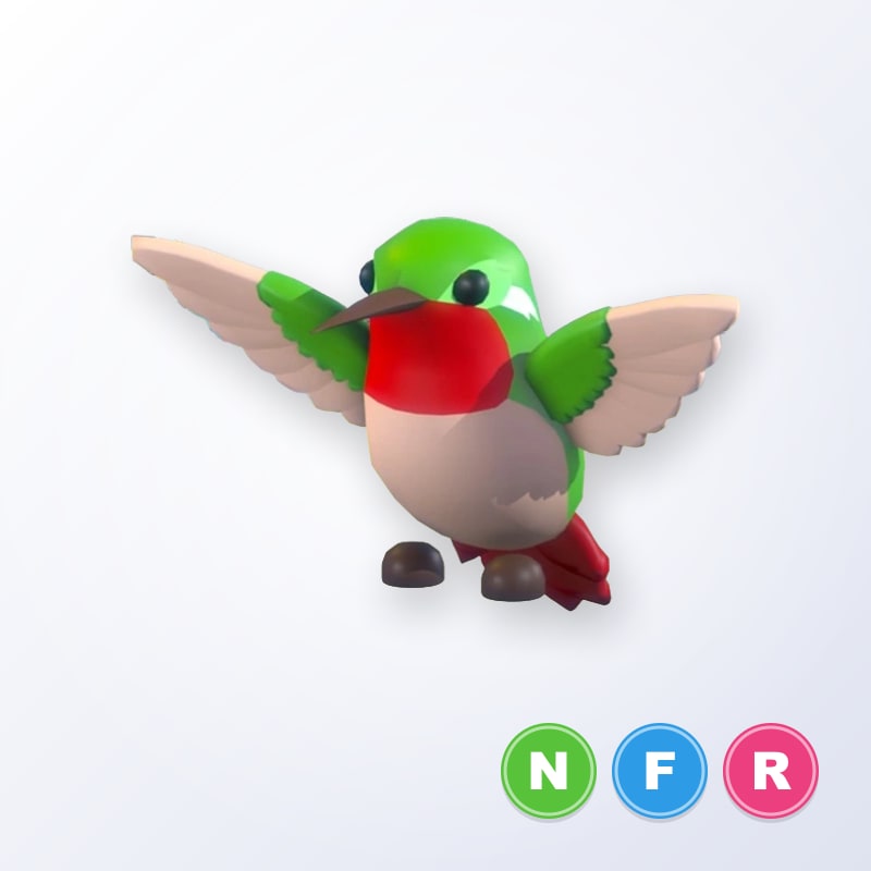 Hummingbird NFR | Adopt Me