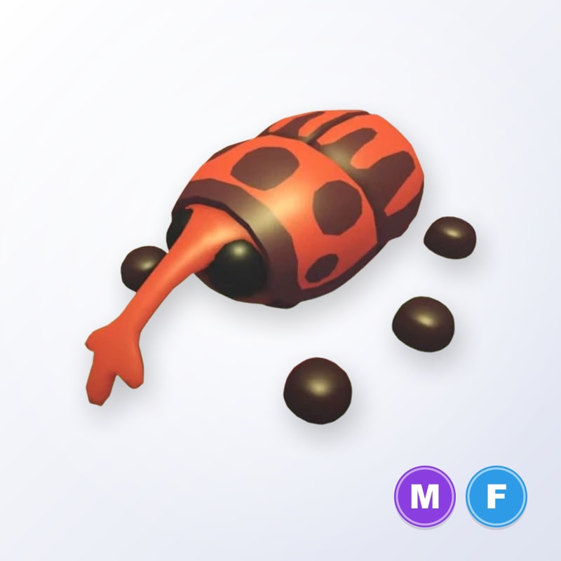 Weevil MF | Adopt Me