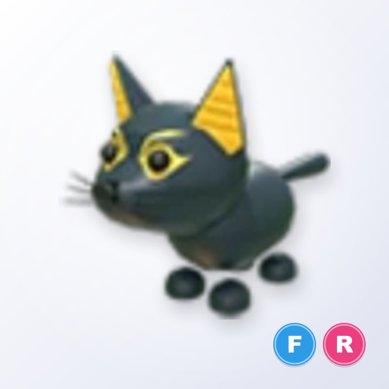 Abyssinian Cat FR | Adopt Me