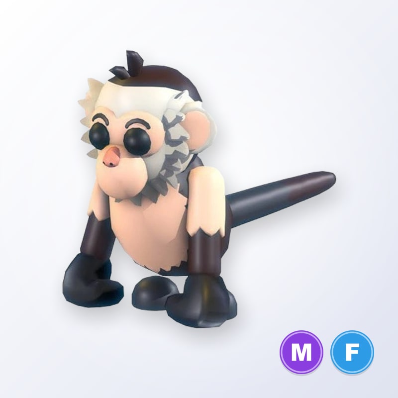 Capuchin Monkey MF | Adopt Me