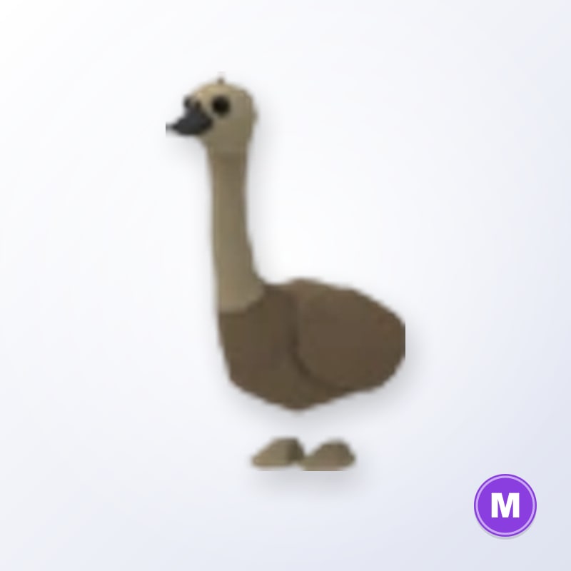 Emu M | Adopt Me