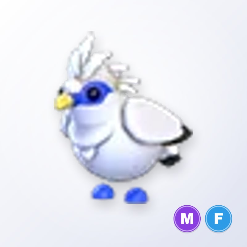 Bali Starling MF | Adopt Me