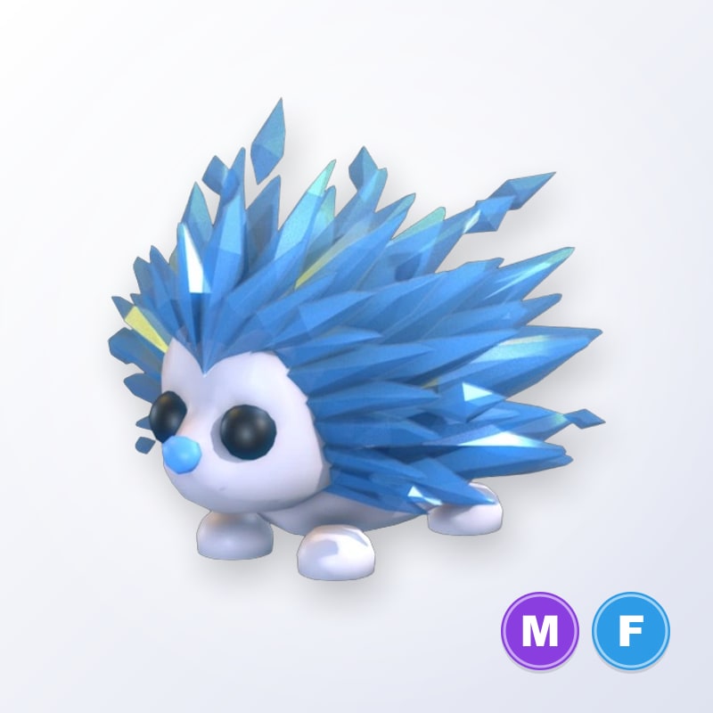 Icy Porcupine MF | Adopt Me
