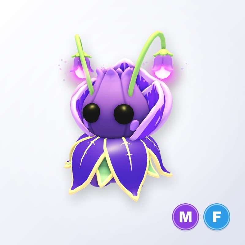 Violet Friend MF | Adopt Me