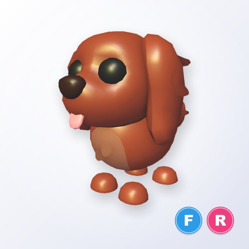 Irish Setter FR | Adopt Me
