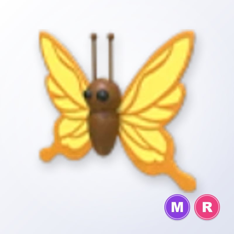 Yellow Butterfly MR | Adopt Me