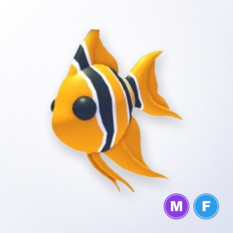 Angelfish MF | Adopt Me