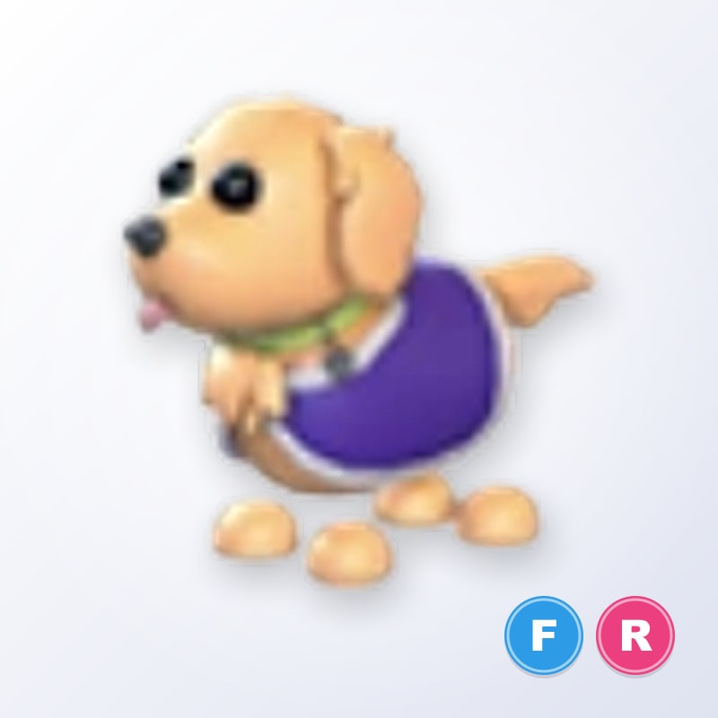 Therapy Dog FR | Adopt Me