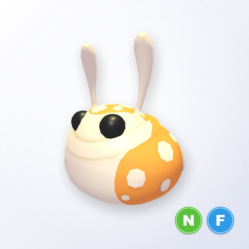 Hopbop NF | Adopt Me