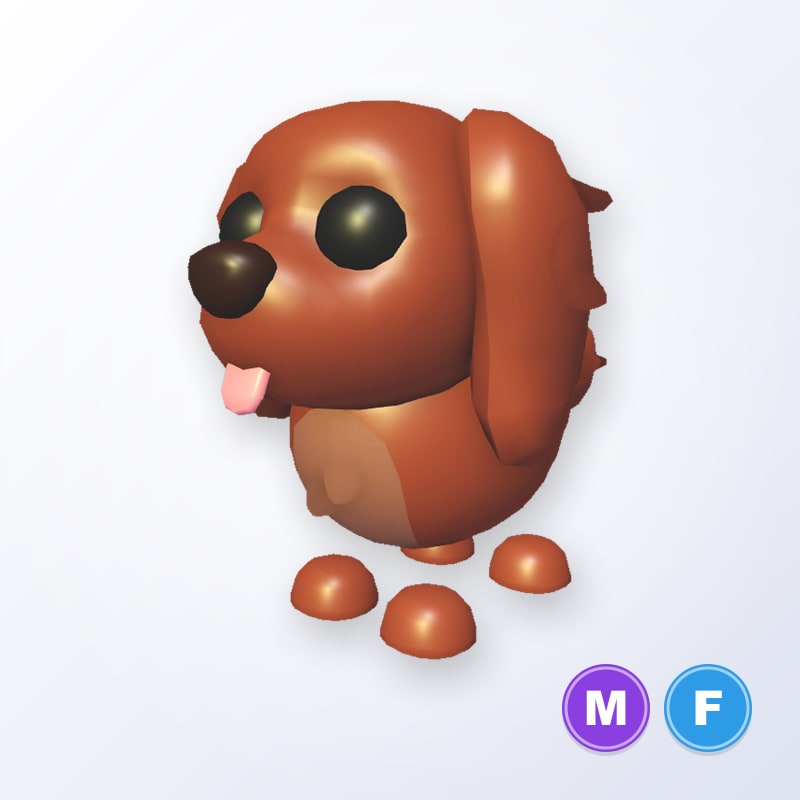 Irish Setter MF | Adopt Me