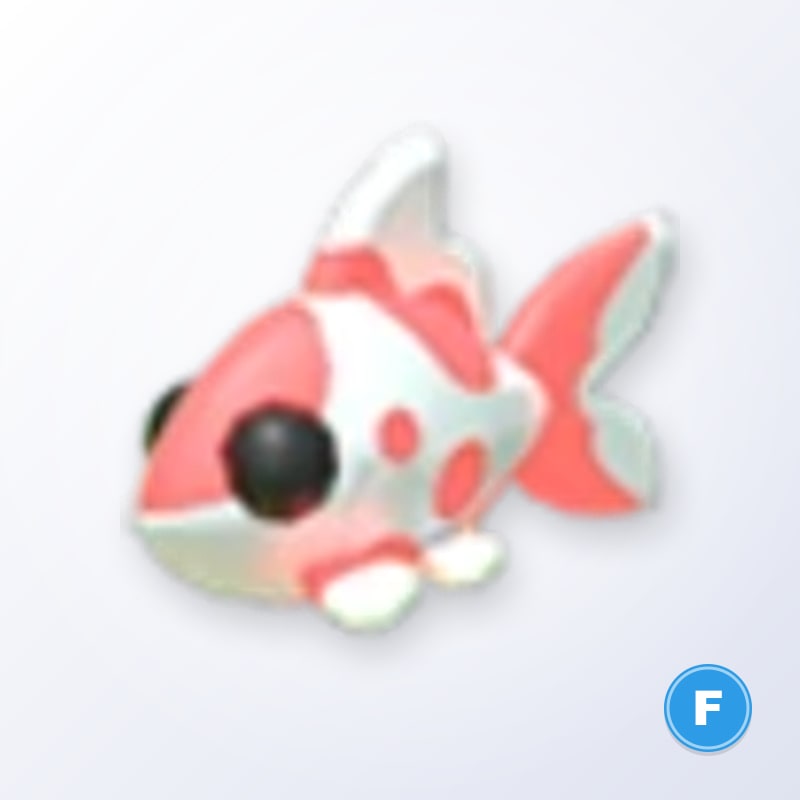 Koi Carp F | Adopt Me