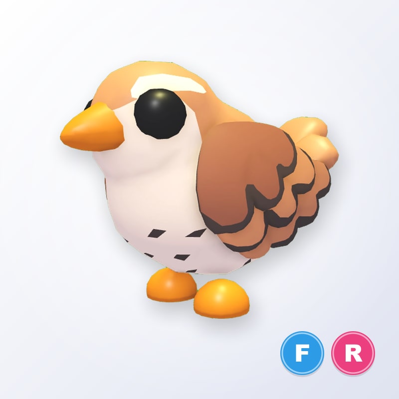 Wren FR | Adopt Me