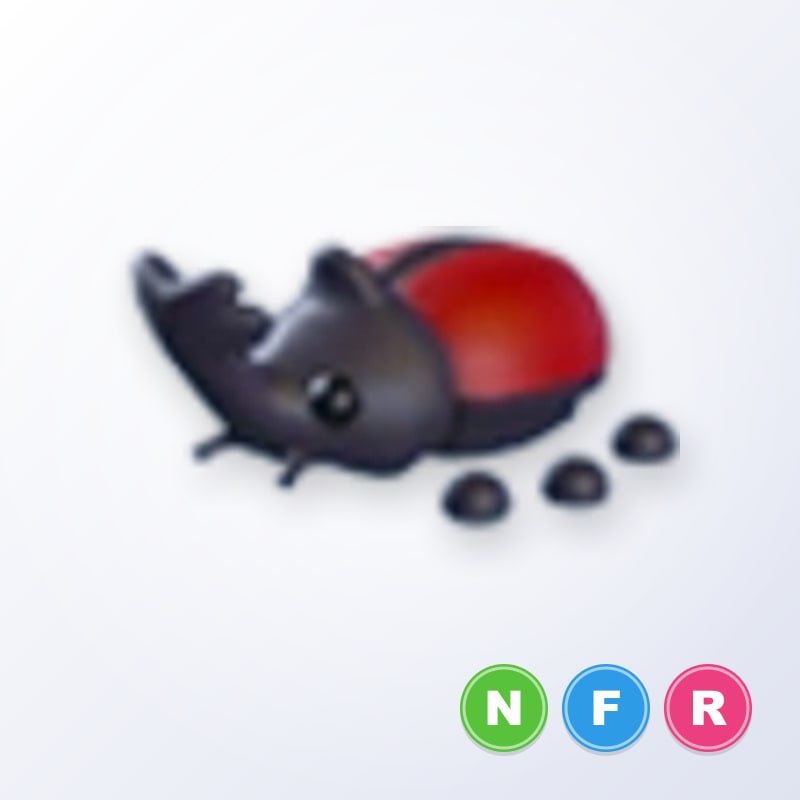 Rhino Beetle NFR | Adopt Me