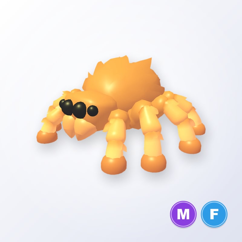 Jumping Spider MF | Adopt Me