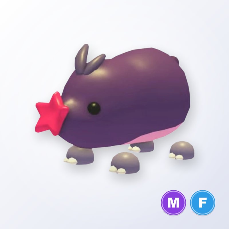 Mole MF | Adopt Me