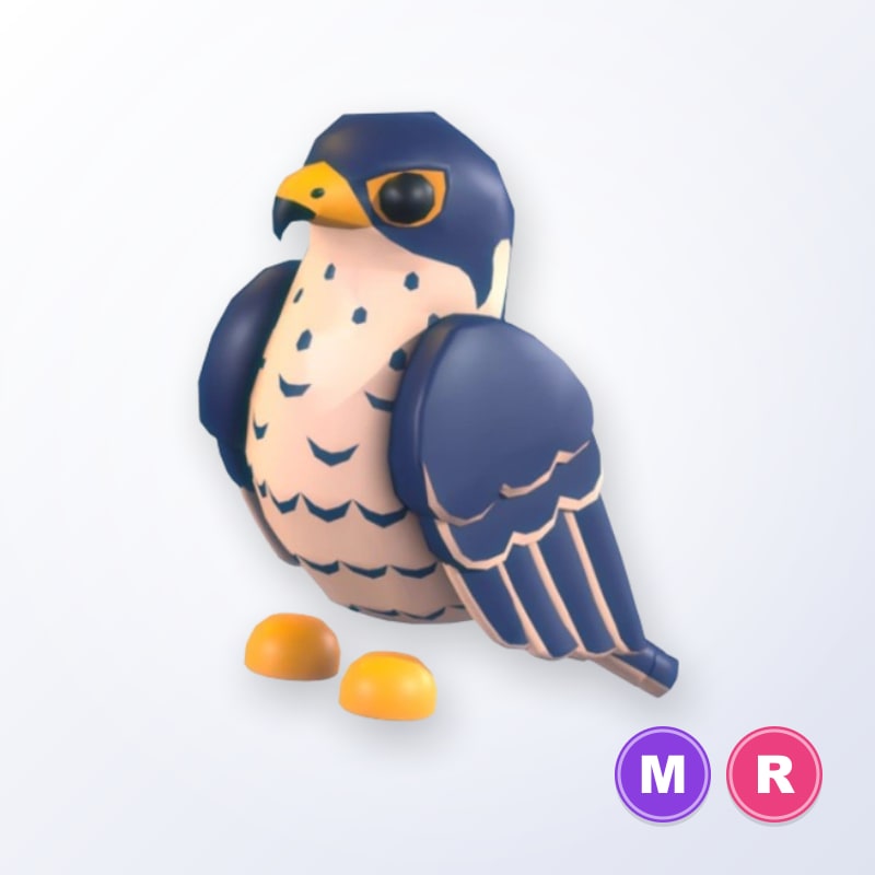 Peregrine Falcon MR | Adopt Me