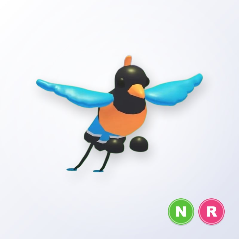 Bird of Paradise NR | Adopt Me