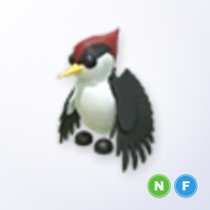 Woodpecker NF | Adopt Me