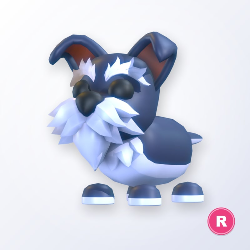 Mini Schnauzer R | Adopt Me