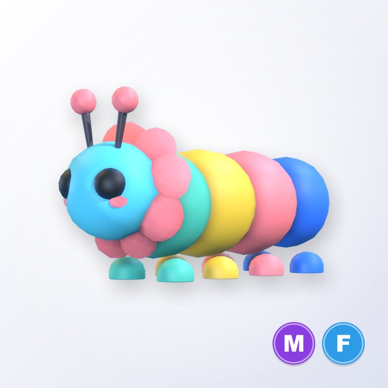 Gumball Caterpillar MF | Adopt Me