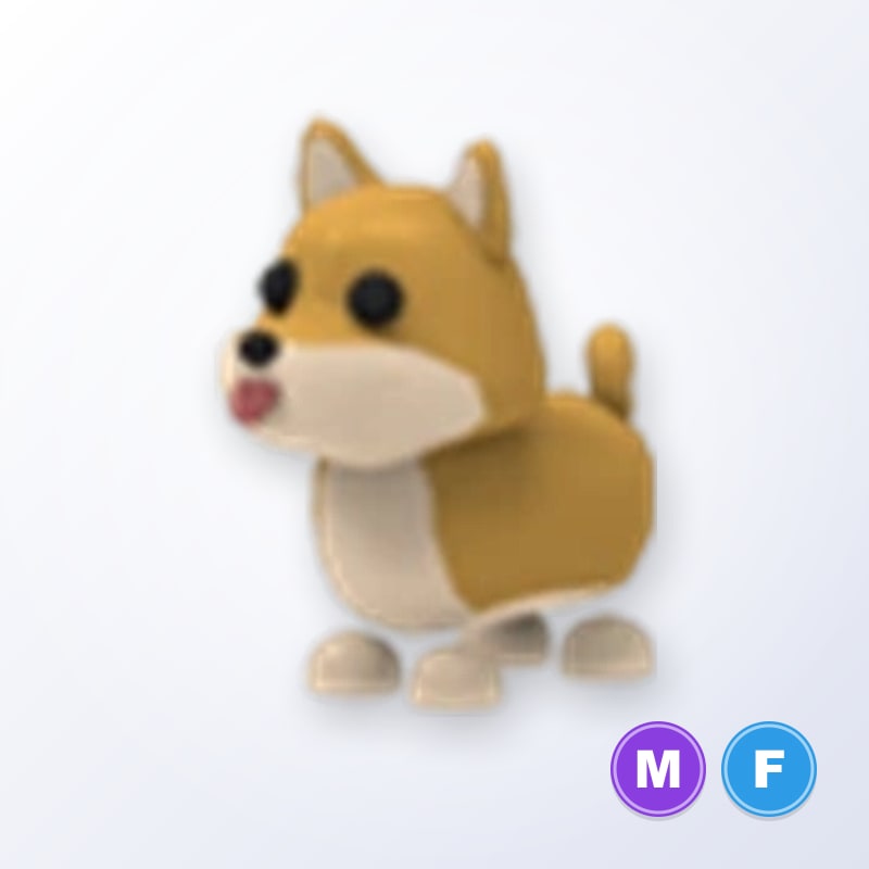 Shiba Inu MF | Adopt Me