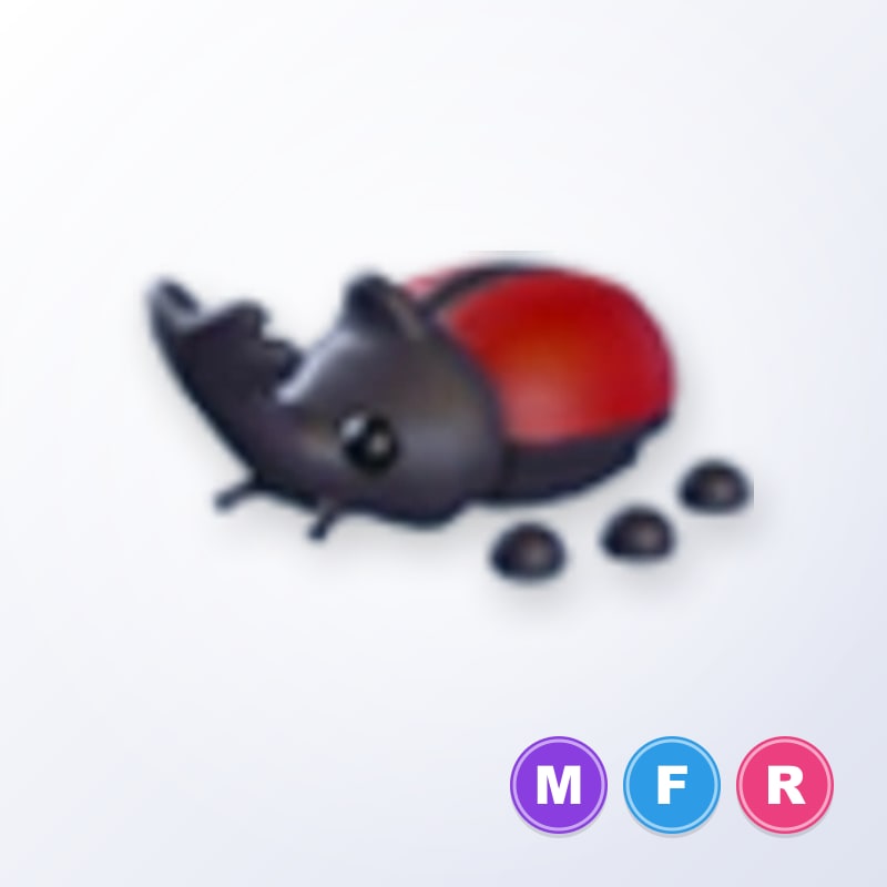 Rhino Beetle MFR | Adopt Me