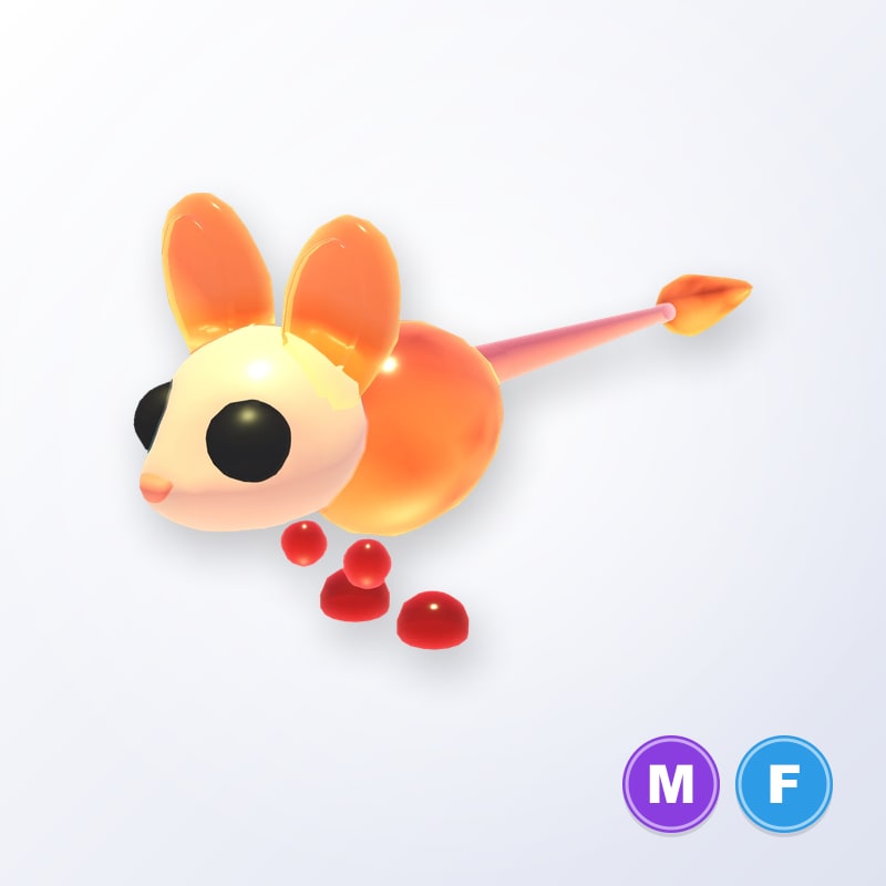 Jiggly Jerboa MF | Adopt Me