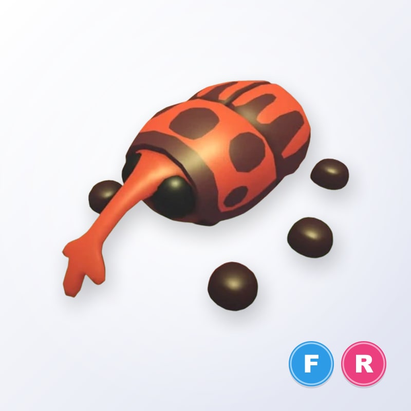 Weevil FR | Adopt Me