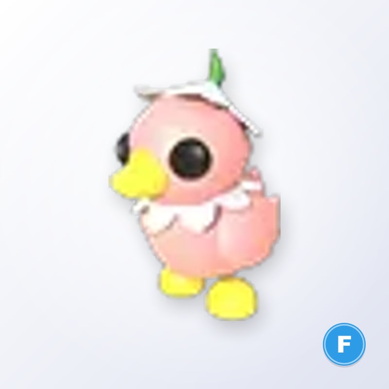 Flower Power Duckling F | Adopt Me