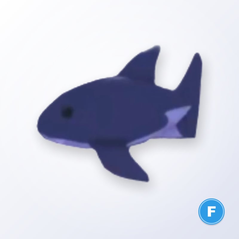 Shark F | Adopt Me