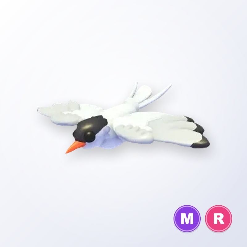 Arctic Tern MR | Adopt Me