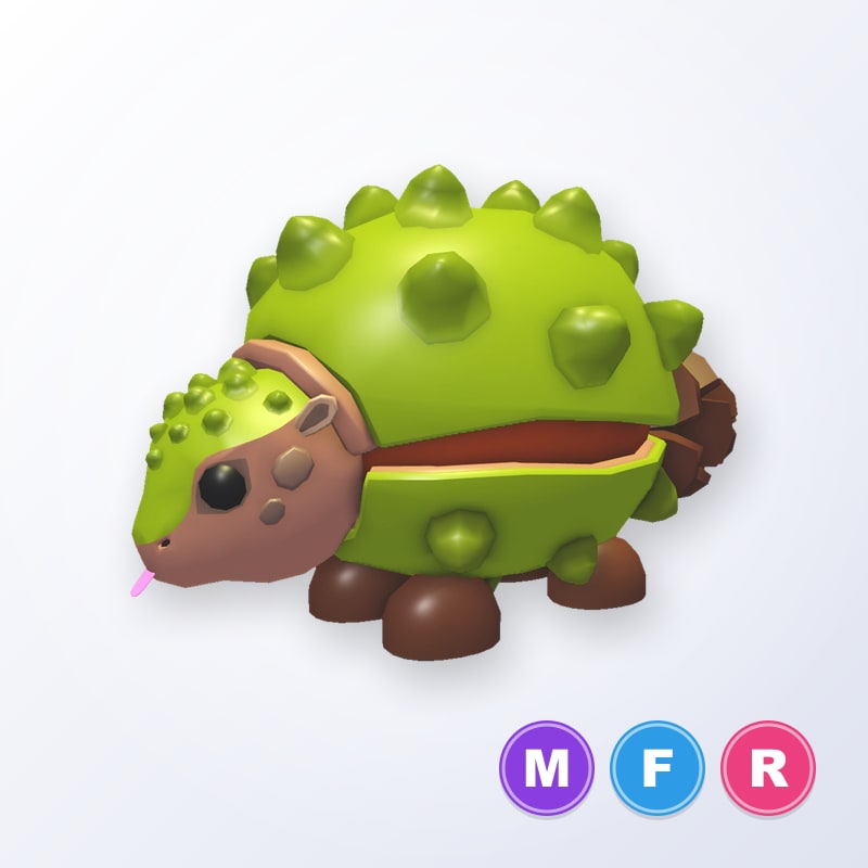 Chestnut Glyptodon MFR | Adopt Me