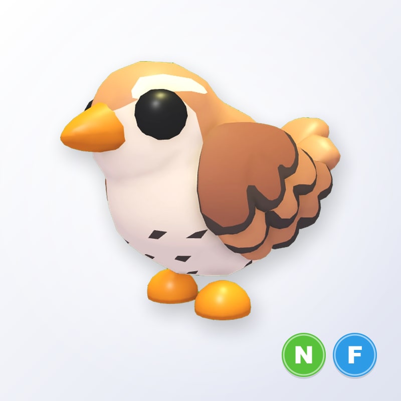 Wren NF | Adopt Me