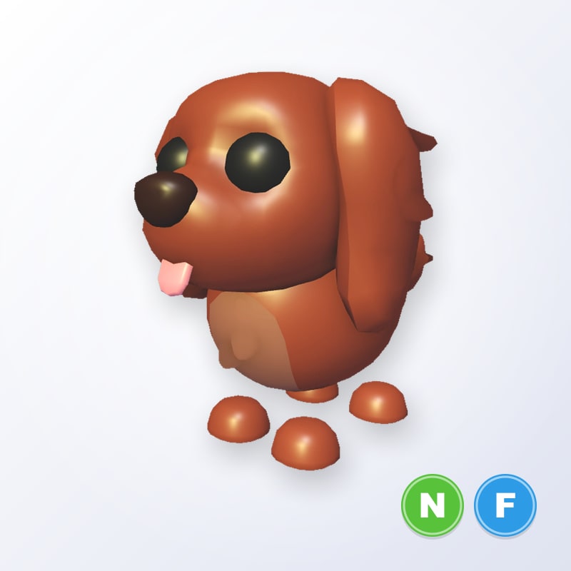 Irish Setter NF | Adopt Me
