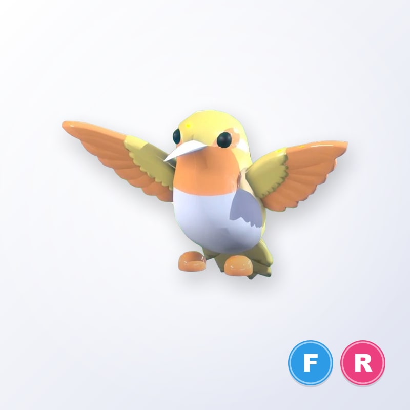 Golden Hummingbird FR | Adopt Me