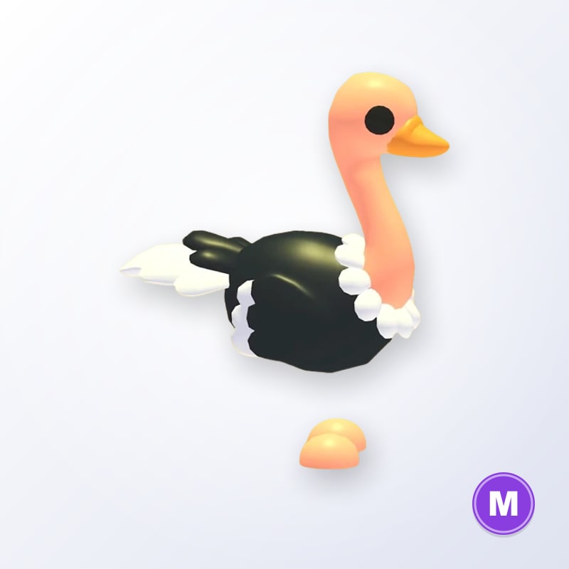 Ostrich M | Adopt Me