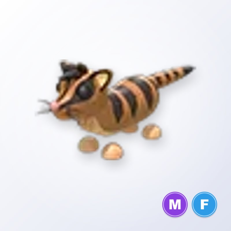 Banded Palm Civet MF | Adopt Me