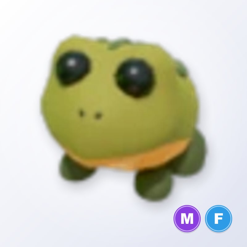 Bullfrog MF | Adopt Me