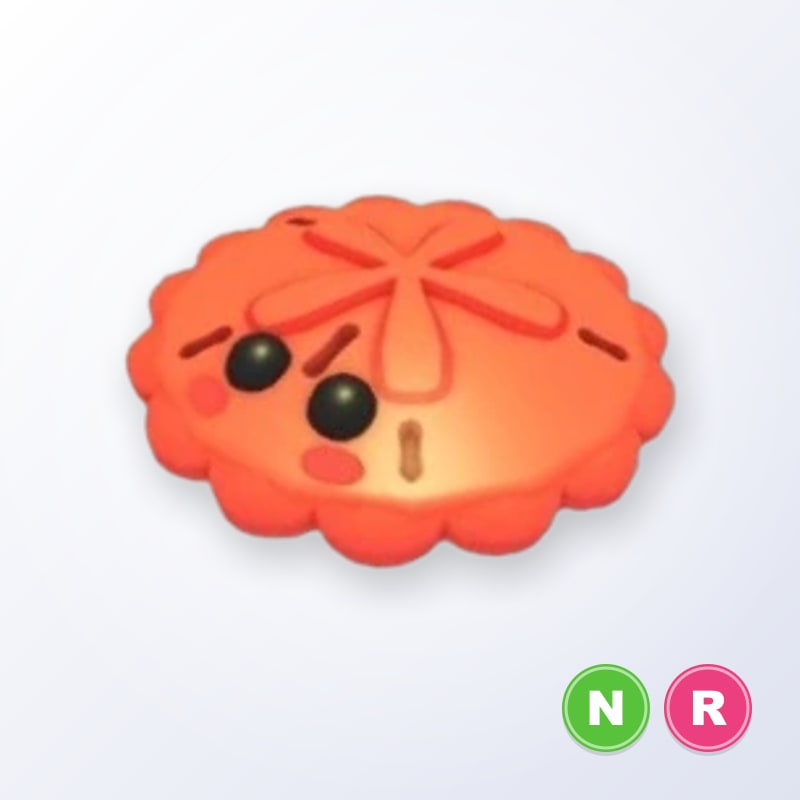 Red Sand Dollar NR | Adopt Me